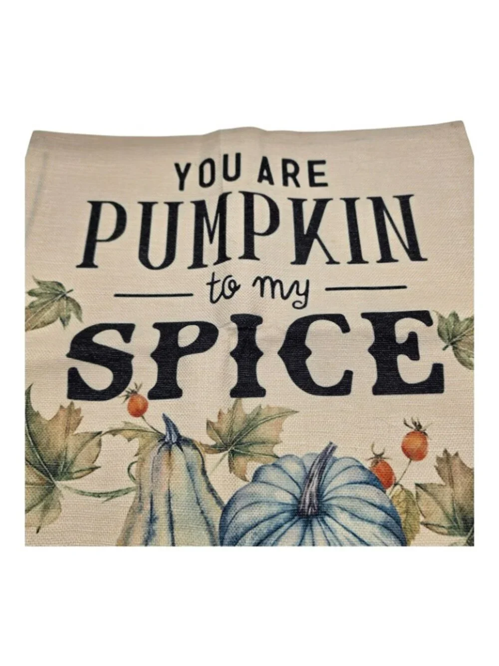 You Are Pumpkin To My Spice Autumn Throw Pillow Cover 17x18 Inches Decorative
